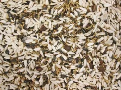 Papegaaienvoer Speciaal 20 Kg -Exporteren AvoDierenRuiter winkel 8715207100577 2