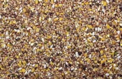 Tortelduivenvoer 20 Kg 5 Tortelduivenvoer 20 Kg -Exporteren AvoDierenRuiter winkel 8715207100614 2