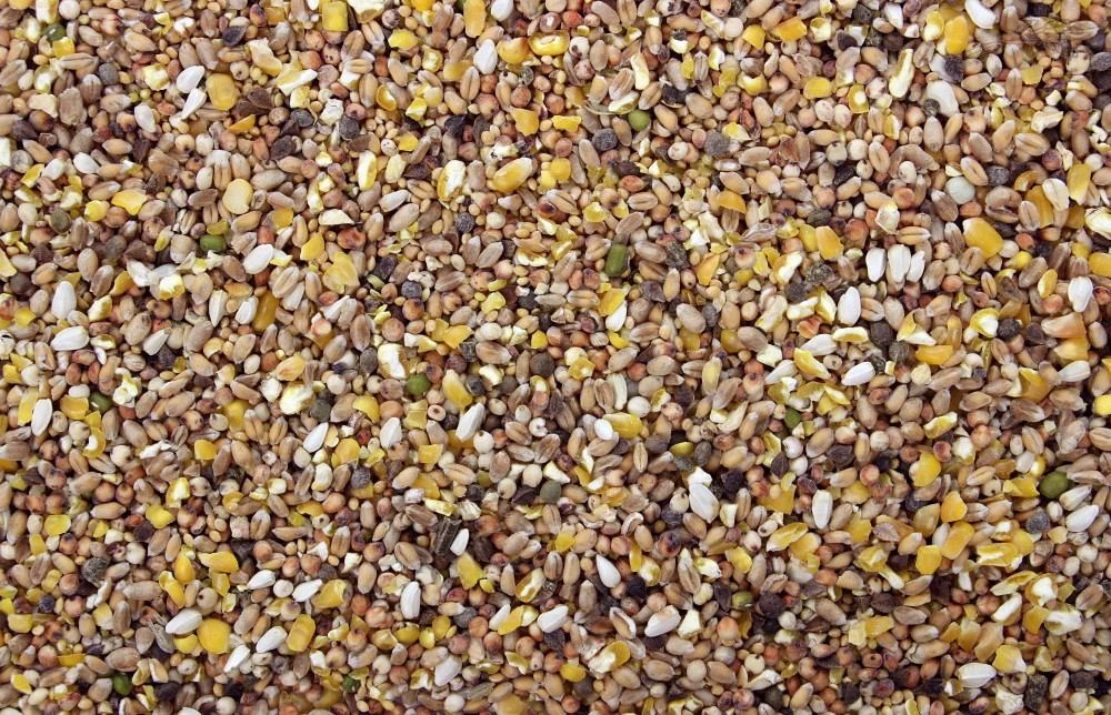 Tortelduivenvoer 20 Kg 3 Tortelduivenvoer 20 Kg - Afbeelding 3