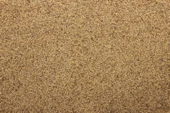 Panicum - Senegalgierst 20 Kg 5 Panicum - Senegalgierst 20 Kg -Exporteren AvoDierenRuiter winkel 8715207100805 2