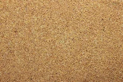 Milletzaad Geel 20 Kg -Exporteren AvoDierenRuiter winkel 8715207101123 2