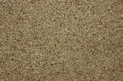 Witzaad 20 Kg -Exporteren AvoDierenRuiter winkel 8715207101413 2