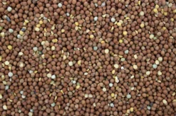 Maple Peas 20 Kg -Exporteren AvoDierenRuiter winkel 8715207101574 2