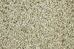 Safloorpitten - Kardizaad 17,5 Kg -Exporteren AvoDierenRuiter winkel 8715207102311 2