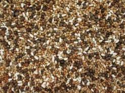 Kroppers A1 20 Kg -Exporteren AvoDierenRuiter winkel 8715207200116 2