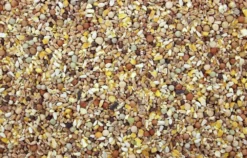 Kortbek Gebroken Mais 20 Kg 5 Kortbek Gebroken Mais 20 Kg -Exporteren AvoDierenRuiter winkel 8715207200161 2