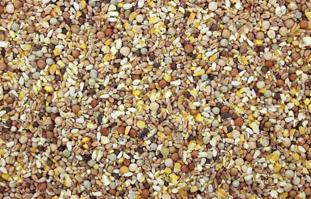 Kortbek Gebroken Mais 20 Kg 3 Kortbek Gebroken Mais 20 Kg - Afbeelding 3