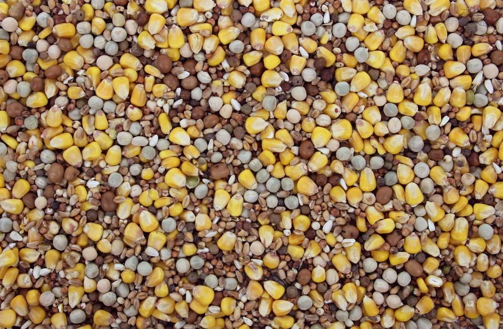 Populair Duivenvoer 20 Kg 3 Populair Duivenvoer 20 Kg - Afbeelding 3