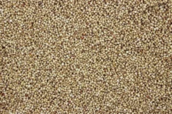 Dari Wit 20 Kg 5 Dari Wit 20 Kg -Exporteren AvoDierenRuiter winkel 8715207201304 2