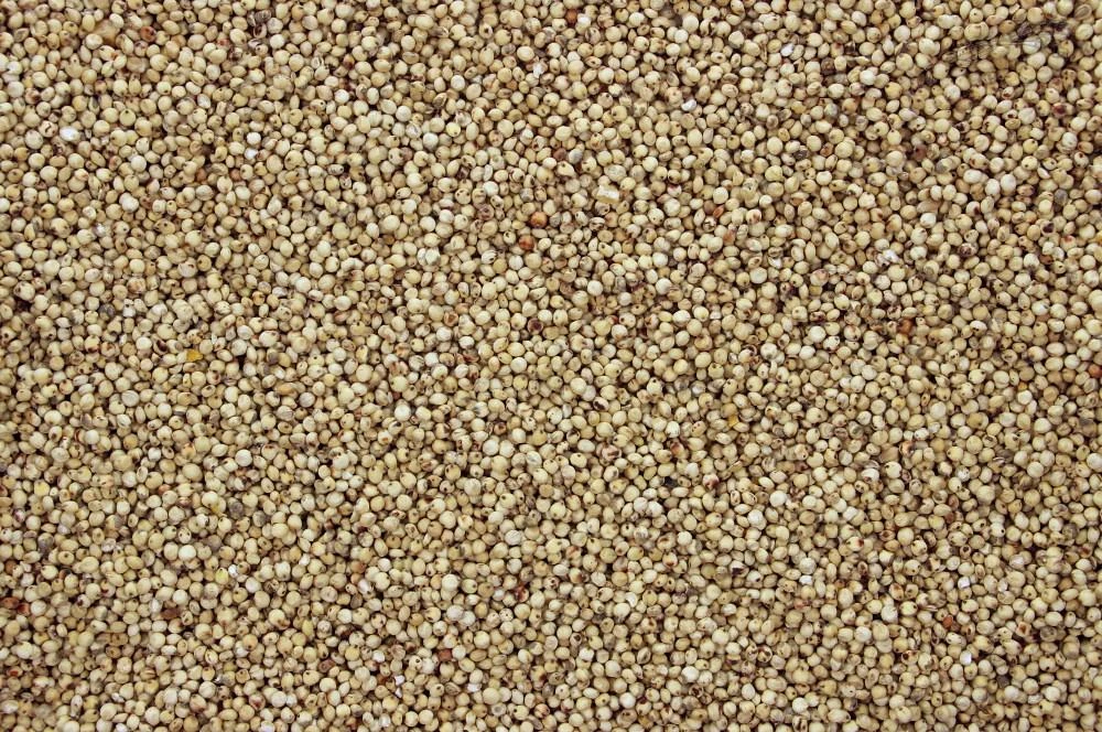 Dari Wit 20 Kg 3 Dari Wit 20 Kg - Afbeelding 3