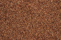 Dari Rood 20 Kg -Exporteren AvoDierenRuiter winkel 8715207201328 2