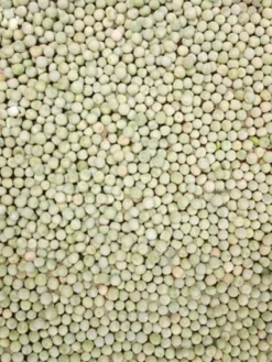 Peenerwten Groen 20 Kg -Exporteren AvoDierenRuiter winkel 8715207201410 2