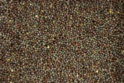 Winter Peas 20 Kg -Exporteren AvoDierenRuiter winkel 8715207201557 2