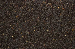 Wikken 20 Kg -Exporteren AvoDierenRuiter winkel 8715207201717 2