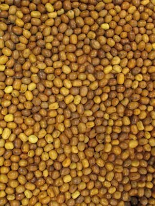 Duivenbonen 20 Kg 2 Duivenbonen 20 Kg - Afbeelding 2