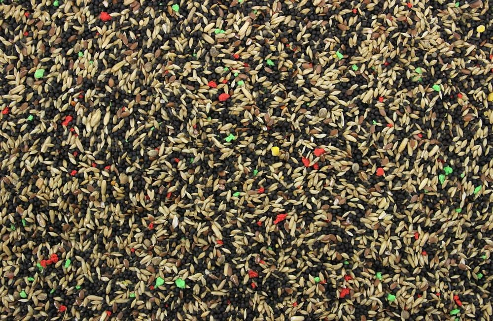 Zangzaad I 5 Kg 2 Zangzaad I 5 Kg - Afbeelding 2