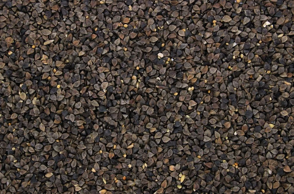 Boekweit 4,5 Kg 2 Boekweit 4,5 Kg - Afbeelding 2