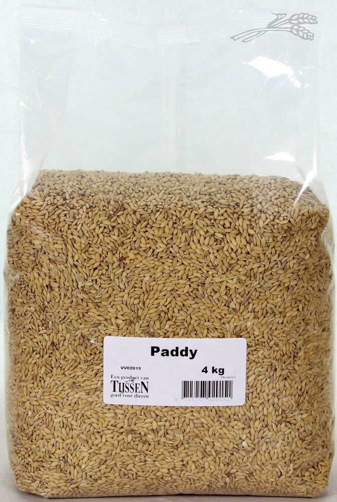 Paddy 4 Kg 3 Paddy 4 Kg - Afbeelding 3