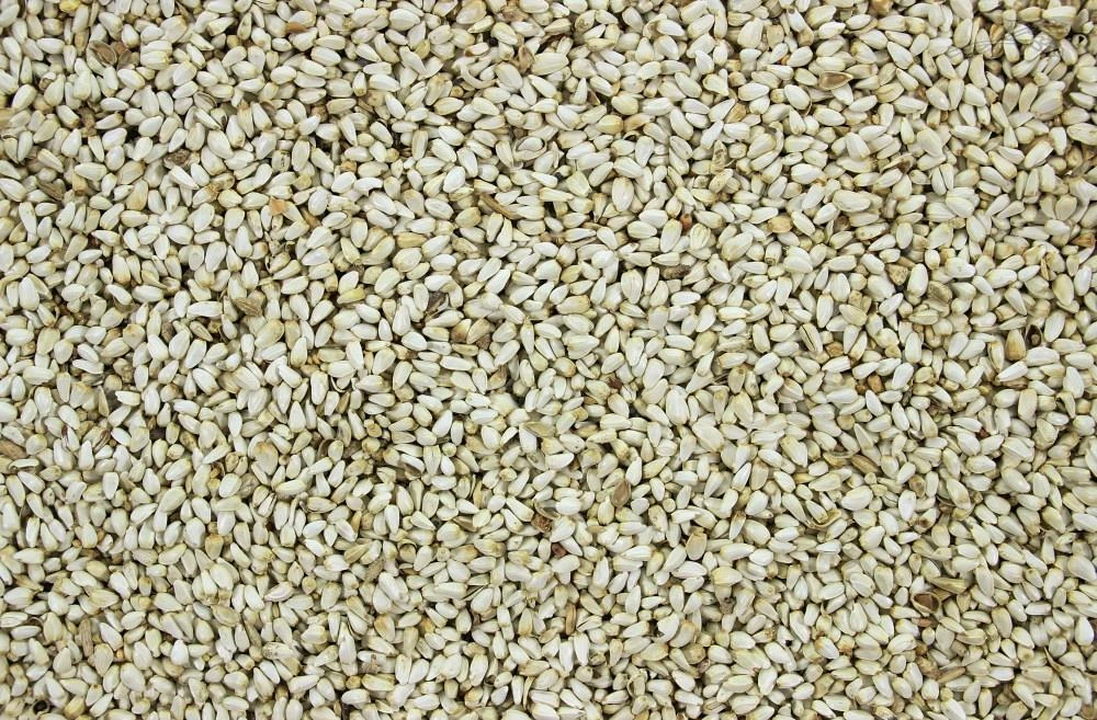 Safloorpitten- Kardizaad 4 Kg 2 Safloorpitten- Kardizaad 4 Kg - Afbeelding 2