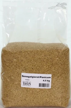 Senegalgierst - Panicum 4,5 Kg -Exporteren AvoDierenRuiter winkel 8715207928058 1
