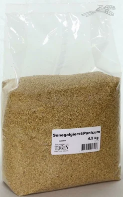 Senegalgierst - Panicum 4,5 Kg