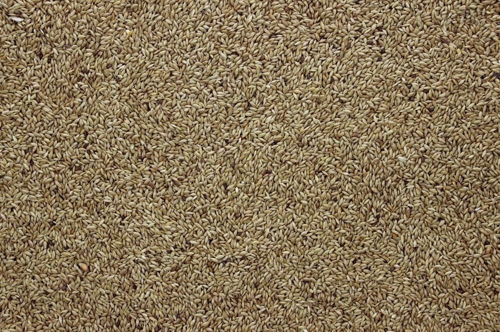 Witzaad 5 Kg 2 Witzaad 5 Kg - Afbeelding 2