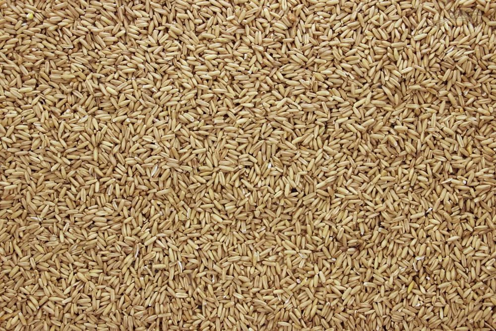 Haver Gepeld 5 Kg 2 Haver Gepeld 5 Kg - Afbeelding 2