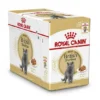 Royal Canin Kattenvoer British Shorthair Adult 12 X 85 Gr