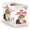Royal Canin Kattenvoer Ageing 12+ In Gravy 12 X 85 Gr