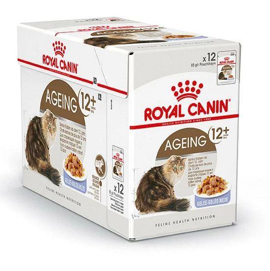 Royal Canin Kattenvoer Ageing 12+ In Jelly 12 X 85 Gr 1 Royal Canin Kattenvoer Ageing 12+ In Jelly 12 X 85 Gr