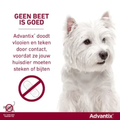 Advantix 400 4 Pipetten -Exporteren AvoDierenRuiter winkel Advantix geenbeetisgoed