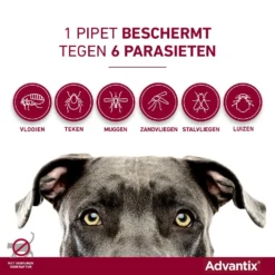 Advantix 250 4 Pipetten -Exporteren AvoDierenRuiter winkel Advantix pipettegen6parasieten 1