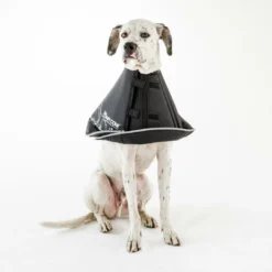 Comfy Cone Black -Exporteren AvoDierenRuiter winkel CCML 3