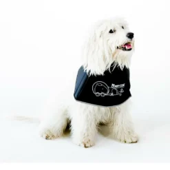 Comfy Cone Black -Exporteren AvoDierenRuiter winkel CCS 1