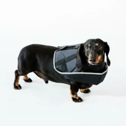 Comfy Cone Black -Exporteren AvoDierenRuiter winkel CCSL 3