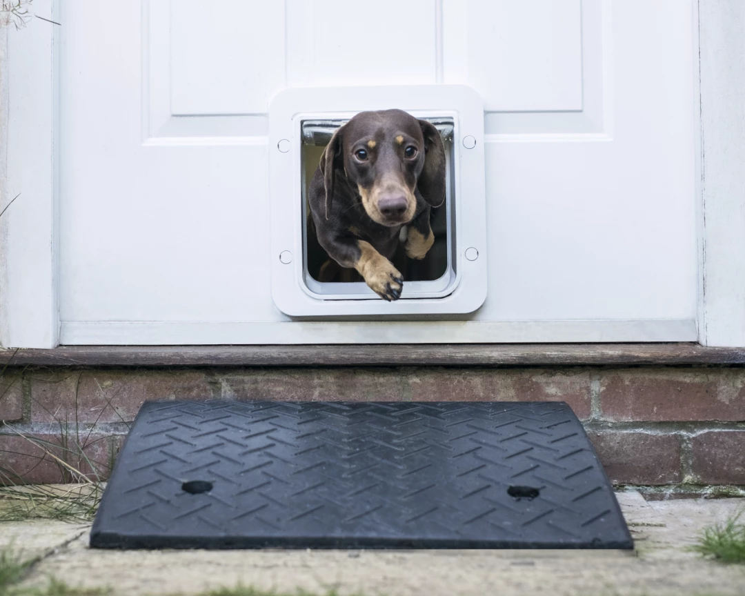 Sureflap Huisdierluik Connect Wit 3 Sureflap Huisdierluik Connect Wit - Afbeelding 3