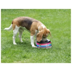 Road Refresher Grijs -Exporteren AvoDierenRuiter winkel LGRR 3