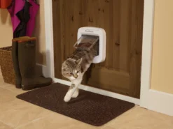 PetSafe Microchip Kattenluik Cat Flap Wit -Exporteren AvoDierenRuiter winkel Lifestyle02