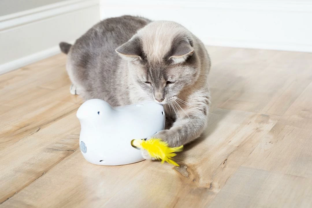 PetSafe Frolicat Peek-a-bird 2 PetSafe Frolicat Peek-a-bird - Afbeelding 2