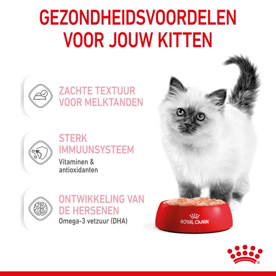 Royal Canin Kattenvoer Kitten 12 X 85 Gr 2 Royal Canin Kattenvoer Kitten 12 X 85 Gr - Afbeelding 2