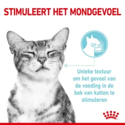 Royal Canin Kattenvoer Sensory Feel In Gravy 12 X 85 Gr 5 Royal Canin Kattenvoer Sensory Feel In Gravy 12 X 85 Gr -Exporteren AvoDierenRuiter winkel RC SPT WET SensFeelMIG CV 1 nl NL