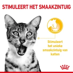 Royal Canin Kattenvoer Sensory Taste In Gravy 12 X 85 Gr 5 Royal Canin Kattenvoer Sensory Taste In Gravy 12 X 85 Gr -Exporteren AvoDierenRuiter winkel RC SPT WET SensTasteCIG CV 1 nl NL