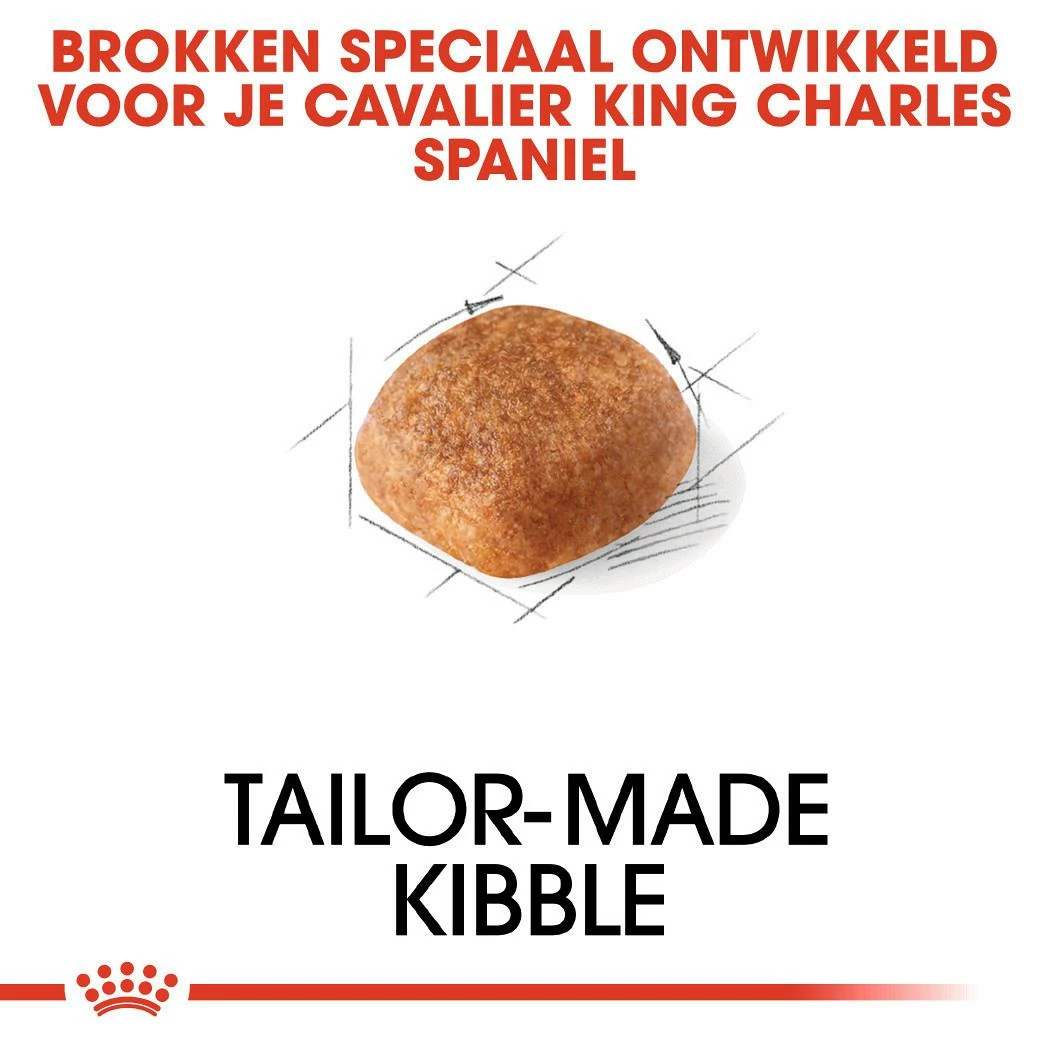 Royal Canin Hondenvoer Cavalier King Charles Adult 3 Kg 2 Royal Canin Hondenvoer Cavalier King Charles Adult 3 Kg - Afbeelding 2