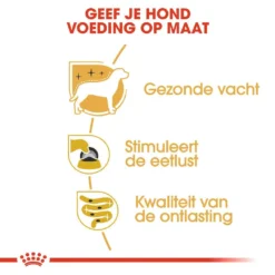 Royal Canin Hondenvoer Yorkshire Terrier Adult 12 X 85 Gr 7 Royal Canin Hondenvoer Yorkshire Terrier Adult 12 X 85 Gr -Exporteren AvoDierenRuiter winkel RIVHEA 4