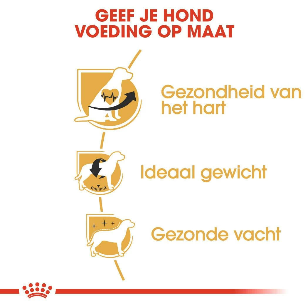 Royal Canin Hondenvoer Cavalier King Charles Adult 3 Kg 3 Royal Canin Hondenvoer Cavalier King Charles Adult 3 Kg - Afbeelding 3