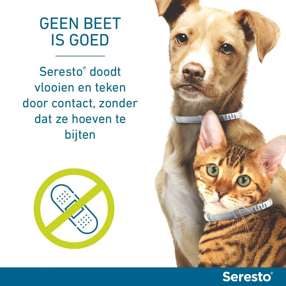 Seresto Band Voor Katten 4 Seresto Band Voor Katten - Afbeelding 4
