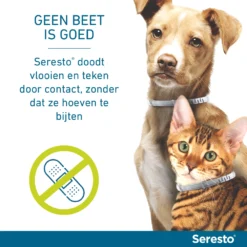 Seresto Band Voor Kleine Honden -Exporteren AvoDierenRuiter winkel Seresto doodt door contact 1