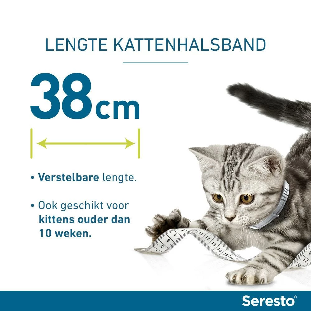 Seresto Band Voor Katten 3 Seresto Band Voor Katten - Afbeelding 3