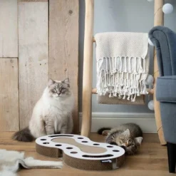 District 70 SNAKE White -Exporteren AvoDierenRuiter winkel Snake wit 2