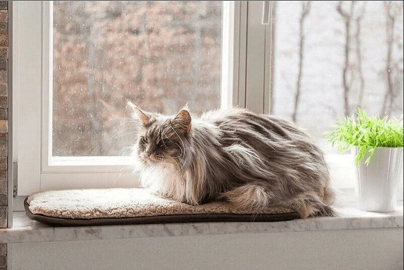 Petlando Windowchiller Cappuccino 2 Petlando Windowchiller Cappuccino - Afbeelding 2